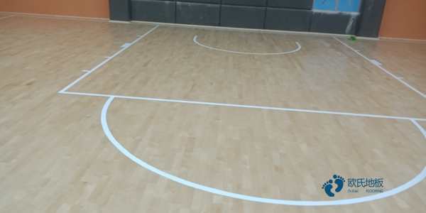 体育篮球木地板免费2
